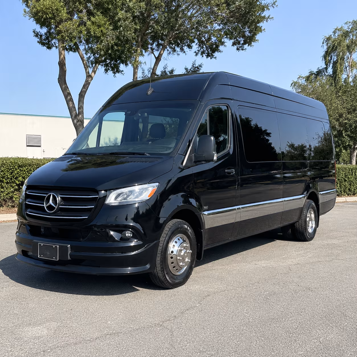 sprinter vans and minibuses for smaller sunnyvale bachelor and bachelorette groups