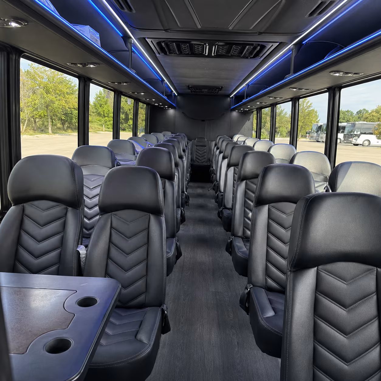 sunnyvale birthday party transportation onboard seating